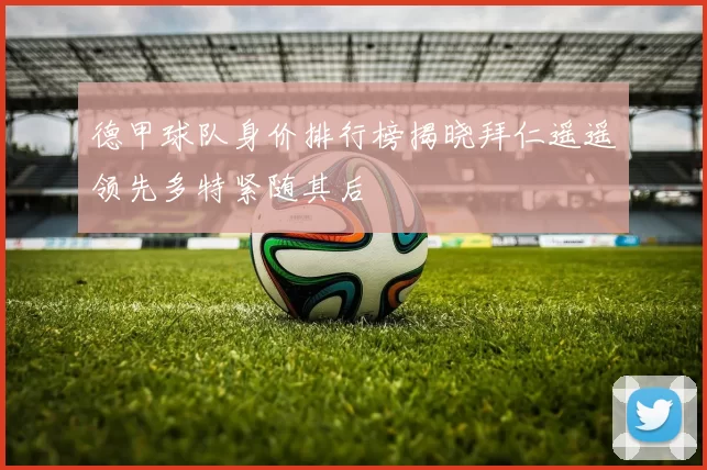 德甲球队身价排行榜揭晓拜仁遥遥领先多特紧随其后
