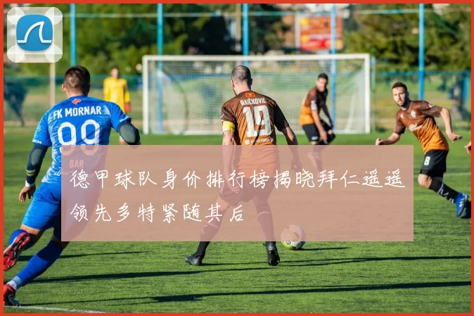 德甲球队身价排行榜揭晓拜仁遥遥领先多特紧随其后