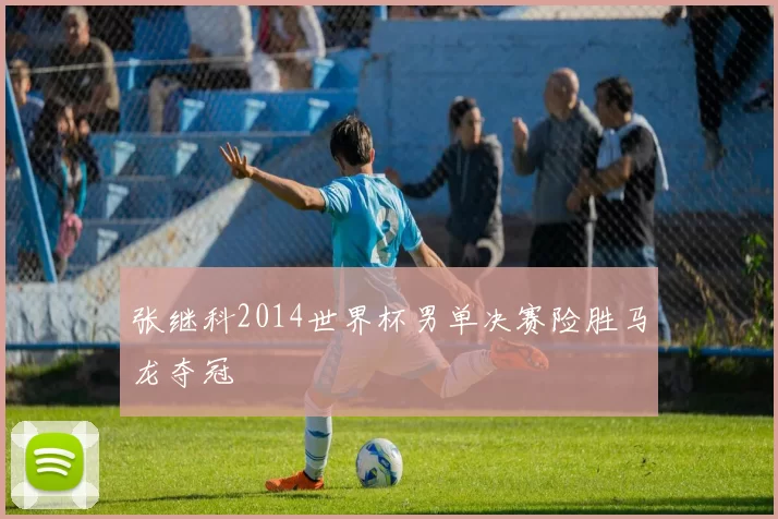 张继科2014世界杯男单决赛险胜马龙夺冠