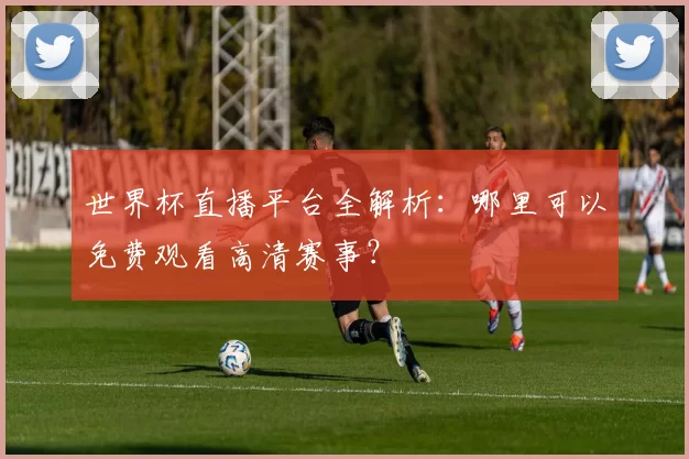 世界杯直播平台全解析：哪里可以免费观看高清赛事？