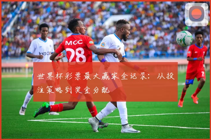 世界杯彩票最大赢家全记录：从投注策略到奖金分配
