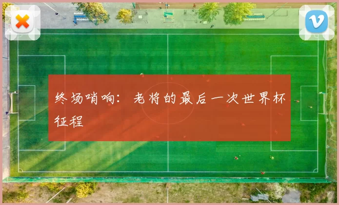 终场哨响：老将的最后一次世界杯征程