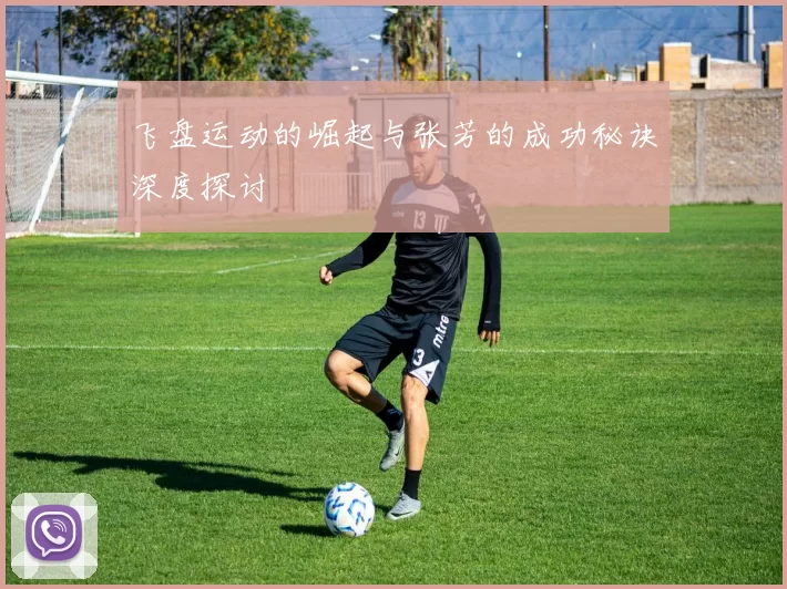 飞盘运动的崛起与张芳的成功秘诀深度探讨