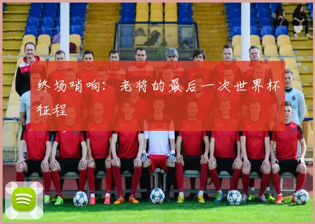 终场哨响：老将的最后一次世界杯征程
