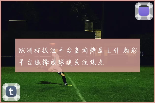 欧洲杯投注平台查询热度上升 购彩平台选择成球迷关注焦点