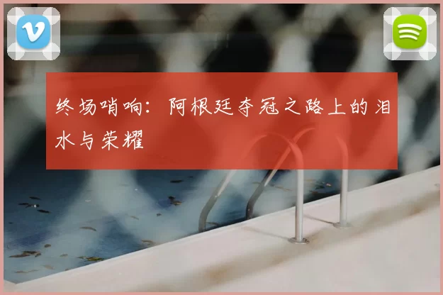 终场哨响：阿根廷夺冠之路上的泪水与荣耀