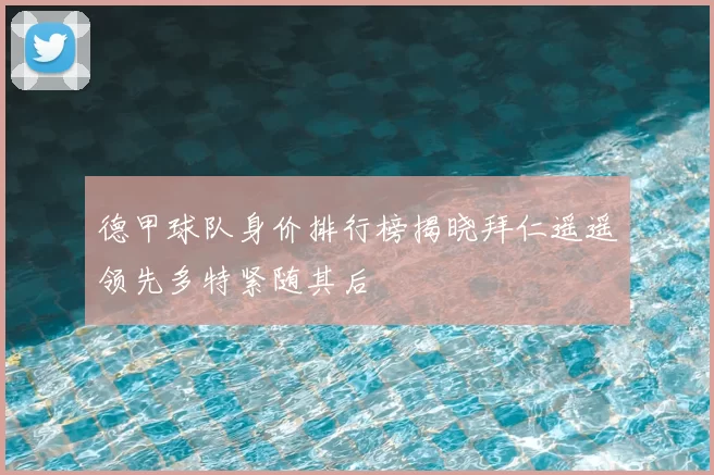 德甲球队身价排行榜揭晓拜仁遥遥领先多特紧随其后