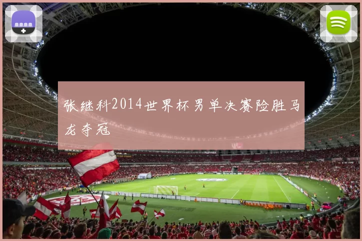张继科2014世界杯男单决赛险胜马龙夺冠