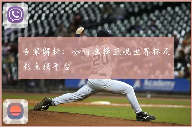专家解析：如何选择正规世界杯足彩竞猜平台