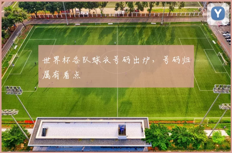 世界杯各队球衣号码出炉，号码归属有看点