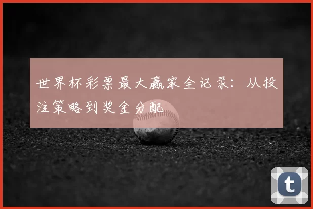 世界杯彩票最大赢家全记录：从投注策略到奖金分配
