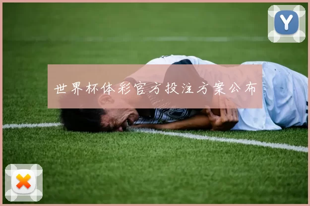 世界杯体彩官方投注方案公布